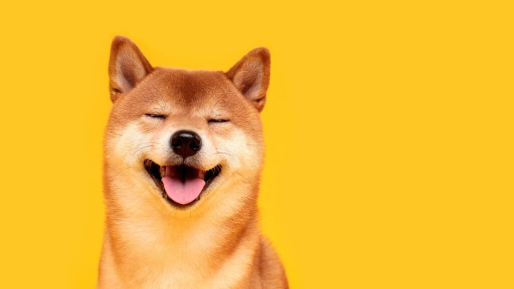 What will DOGE target next? Musk looks to the Education Department. – USA Today