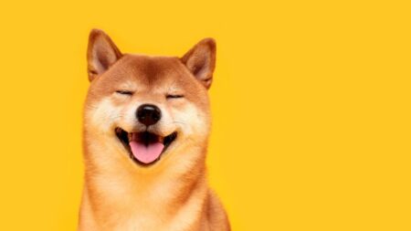 What will DOGE target next? Musk looks to the Education Department. – USA Today