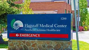 Arizona resident dies of confirmed plague infection. What to know – USA Today
