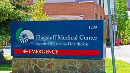 Arizona resident dies of confirmed plague infection. What to know – USA Today