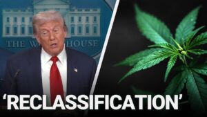 President Trump may reclassify marijuana under federal law – USA Today