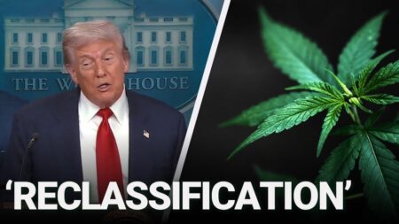 President Trump may reclassify marijuana under federal law – USA Today
