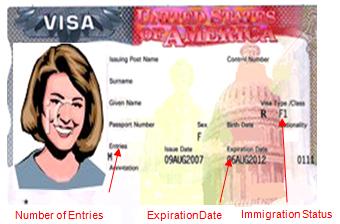 F-1, J-1 Student Visa Issuances Dropped in May – Inside Higher Ed