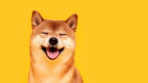 DOGE slashes millions from Education Department research – USA Today