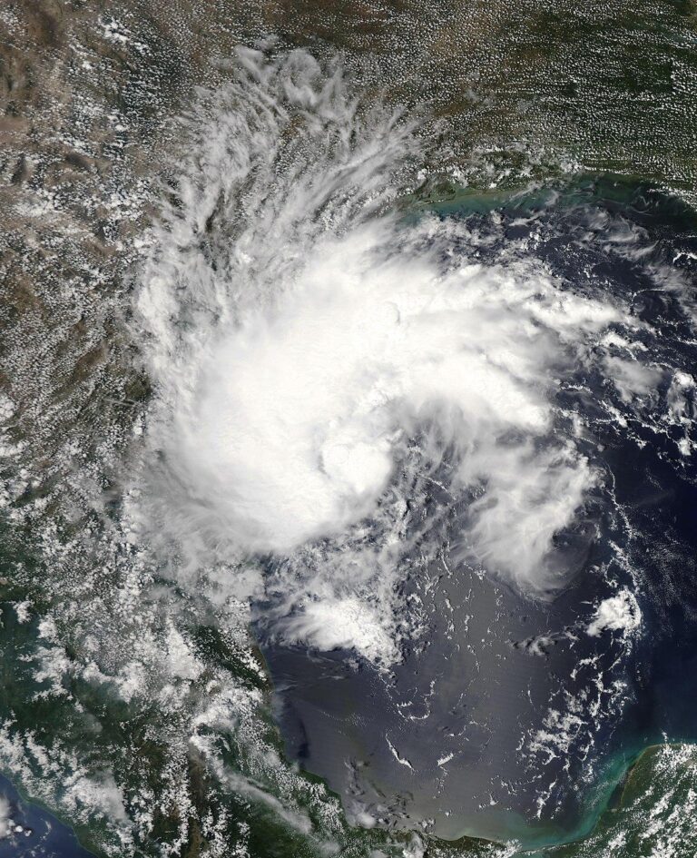 Hurricane forecasters track Tropical Storm Fernand in the Atlantic – USA Today