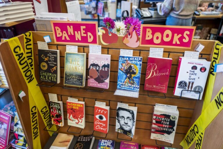 Book censorship in US schools has become ‘rampant and common’, free speech advocates warn – USA Today