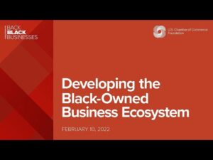 Building supportive ecosystems for Black-owned US businesses – McKinsey & Company