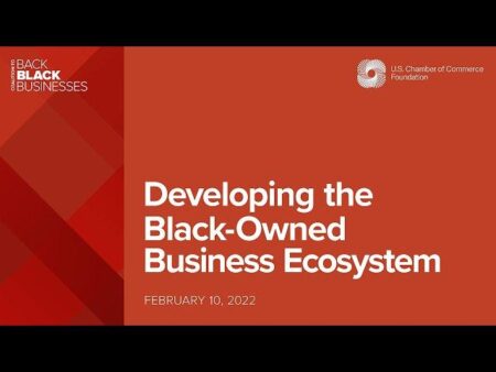 Building supportive ecosystems for Black-owned US businesses – McKinsey & Company