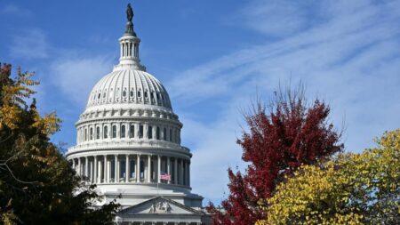 End to US government shutdown in sight as Democrats quarrel – Yahoo