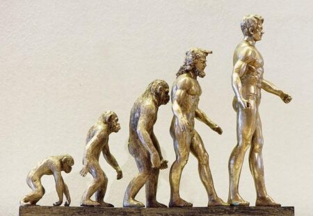 Study Suggests Education-Linked Genes Are Being Selected Against in Human Evolution in the USA Human evolution in the USA: Education-linked genes being selected against, study suggests – PsyPost