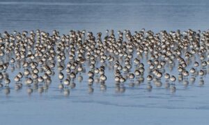 US Official says Washington is open for business if Iran wishes to contact them – Reuters