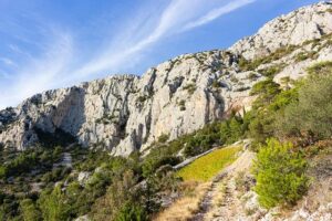 Is Nikola Jokic playing today? Huge injury update for Nuggets star – USA Today