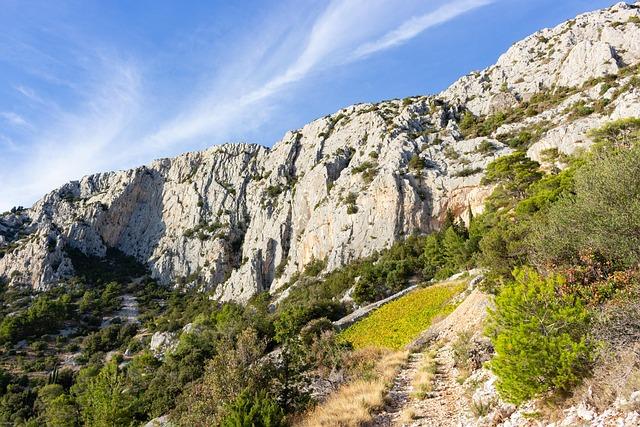 Is Nikola Jokic Playing Today? Major Injury Update on the Nuggets Star Is Nikola Jokic playing today? Huge injury update for Nuggets star – USA Today