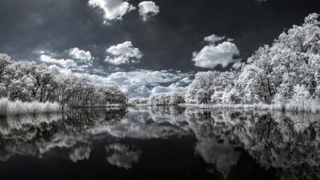 E-file: Do your taxes for free – IRS (.gov)