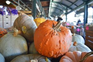 Kansas gardens shine in USA Today’s 10Best – The Topeka Capital-Journal