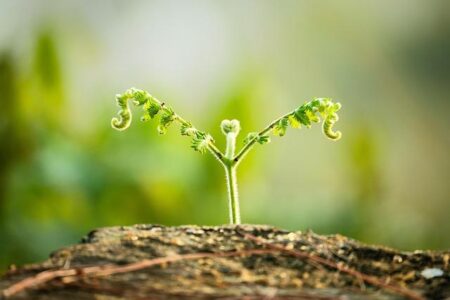 Tabitha Peterson leads U.S. women’s curling team to 6-5 comeback win over China, stealing points in final 2 ends – Yahoo Sports