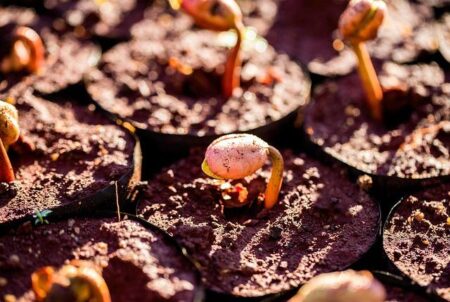 Transforming Futures: The Impact of Presbyterian Higher Education Presbyterian Higher Education – Presbyterian Church (U.S.A.)