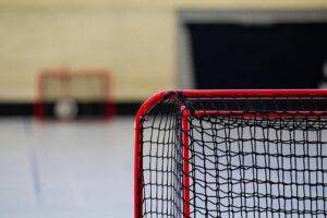 San Antonio scores new indoor sports and entertainment venue – KSAT