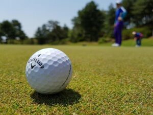 2026 U.S. Women’s Amateur highlights: Rachel Heck, Asterisk Talley among advancers – Yahoo Sports