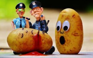 The US murder rate fell to historic lows in 2025 – here’s why – The Conversation