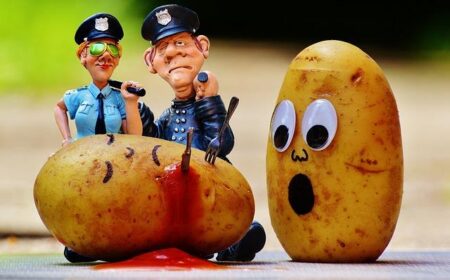 The US murder rate fell to historic lows in 2025 – here’s why – The Conversation
