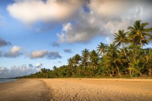 Open Call: U.S. Mission to Australia Annual Program 2026 – fundsforNGOs