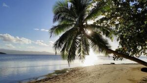 Love Island USA returns to Fiji for a new season – democratandchronicle.com