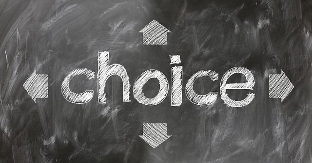 What the Global Debate on School Choice Reveals About Education at Home What the International Debate Over School Choice Can Teach Us at Home (Opinion) – Education Week